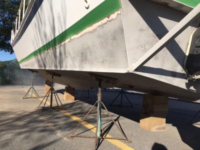 117381856_128320175626951_219803778069507986_n